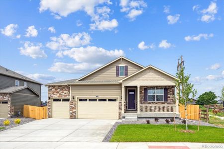 New construction Single-Family house 13446 Valentia St, Thornton, CO 80602 plan Chatham - image
