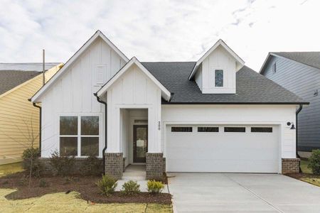 New construction Single-Family house 175 Prospect Place, Pittsboro, NC 27312 - photo 0