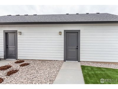 New construction Single-Family house 937 Trumpet Ln, Windsor, CO 80550 - image