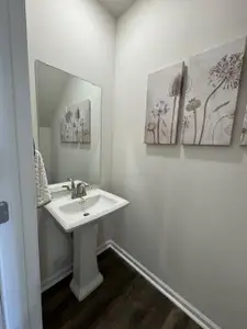 New construction Single-Family house 247 Sunny Hill Dr, Blythewood, SC 29016 plan Henderson - image 3