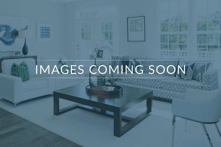 New construction Single-Family house 630 Basalt Ct, Chapin, SC 29036 plan The Orchard - image