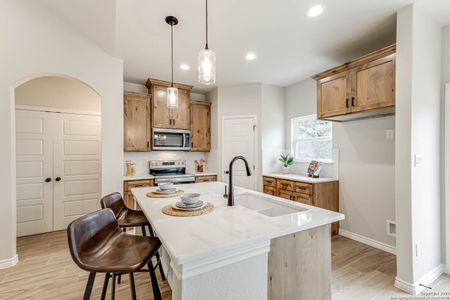 New construction Single-Family house 294 Lighthouse, Canyon Lake, TX 78133 - image 14