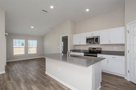 New construction Single-Family house 13022 Wellspring Dr, Lithia, FL 33547 Valeria- photo 1 1