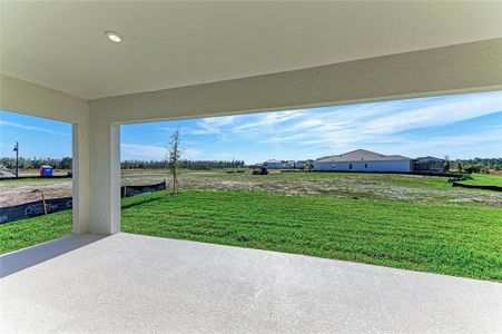 New construction Single-Family house 35564 Big Hawk Dr, Zephyrhills, FL 33541 plan Bayport II - image 4