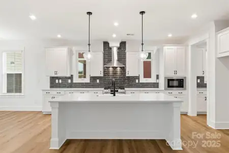 New construction Single-Family house 263 Luray Wy, Unit 444, Rock Hill, SC 29730 plan Atticas - image 5