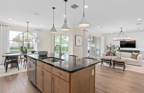 New construction Single-Family house 4116 Winding Pines Dr, Apopka, FL 32712 null- photo 10 10