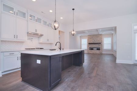 New construction Single-Family house 1041 Sage Pine Cir, Clover, SC 29710 plan Bethpage - image 12