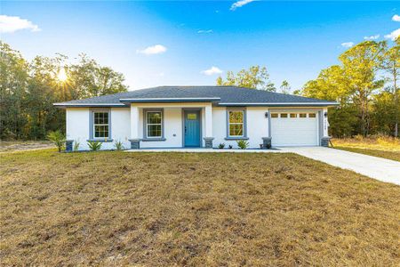 New construction Single-Family house 14108 Se 42Nd Ter, Summerfield, FL 34491 null- photo 0