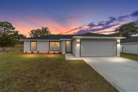 New construction Single-Family house 15301 Sw 8Th Pl, Ocala, FL 34481 - image
