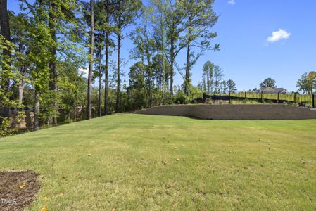 New construction Single-Family house 2507 Silas Peak Lane, Apex, NC 27523 - photo 21 21