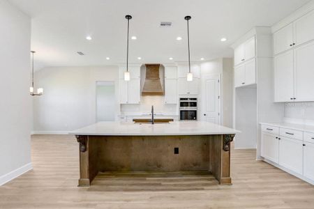 New construction Single-Family house 5211 Lake Venice Dr, Wimauma, FL 33598 plan Montalto - image 13