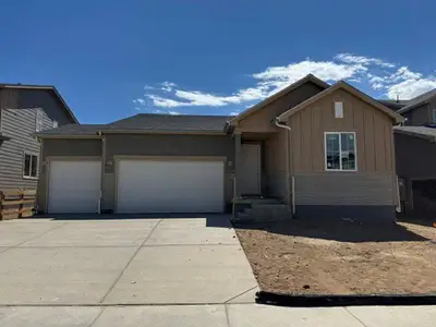 New construction Single-Family house 867 Mesic Ln, Windsor, CO 80550 plan Livingston - image