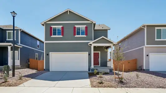 New construction Single-Family house 1923 Sorghum Wy, Johnstown, CO 80534 plan Pine - image