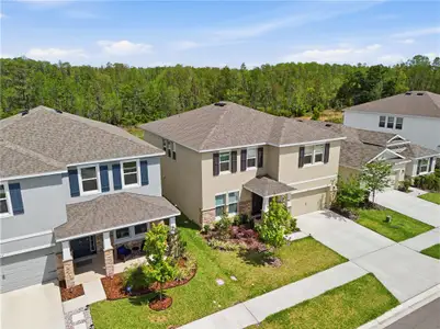 New construction Single-Family house 6764 Broad River Ave, Land O' Lakes, FL 34638 - image