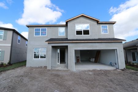 New construction Single-Family house 31223 Denham Ridge Ln, Wesley Chapel, FL 33545 Sonoma II- photo 51 51