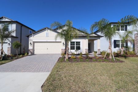 New construction Single-Family house 4763 Beachrose Way, Lakeland, FL 33811 Picasso- photo 40 40