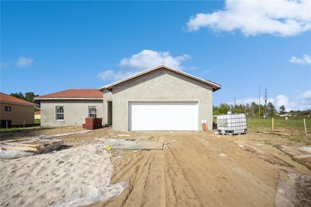 New construction Single-Family house 421 Cinnamon Dr, Kissimmee, FL 34759 null- photo 0