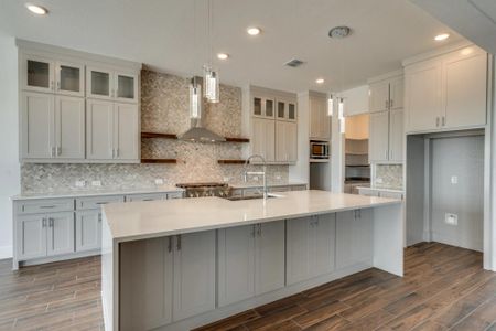 Pecan Square - 100' by Drees Custom Homes in Northlake - image 12