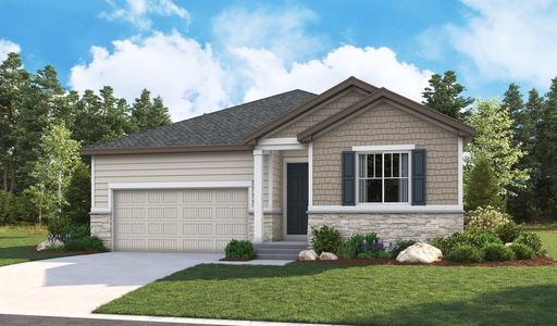 New construction Single-Family house 904 Steppe Ln, Windsor, CO 80550 null- photo 3 3