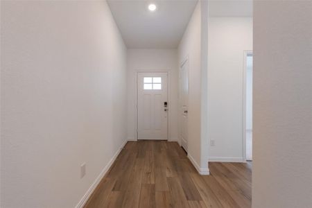 Entryway featuring wood-type flooring