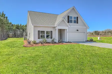 New construction Single-Family house 505 New Regenia Pl, Holly Hill, SC 29059 - image