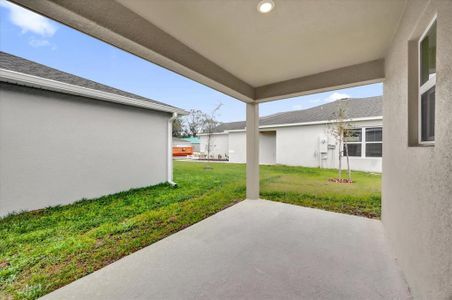 New construction Single-Family house 8560 Caribbean Pine Way, Lakeland, FL 33809 null- photo 13 13