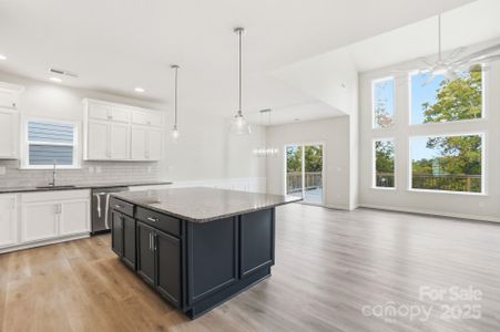 New construction Single-Family house 17909 Wilbanks Dr, Charlotte, NC 28278 - image 14