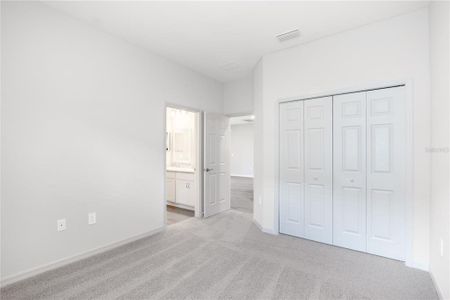 New construction Single-Family house 2646 Scenic Park Lp, Wimauma, FL 33598 plan Savannah - image 19