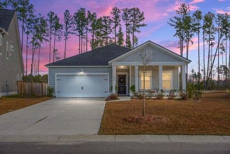 New construction Single-Family house 164 Haverhill Street, Summerville, SC 29486 - photo 0