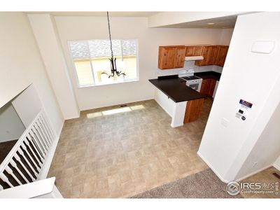 New construction Single-Family house 407 Vivid Ln, Windsor, CO 80550 Michigan- photo 25 25