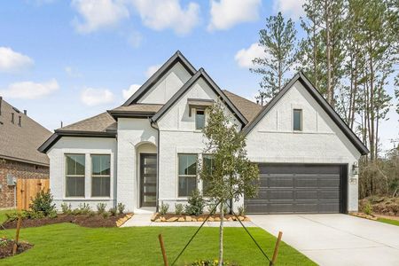 New construction Single-Family house 10702 Rattlebox Ct, Cypress, TX 77433 - image