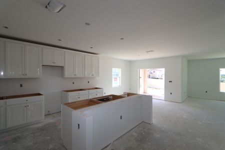 New construction Single-Family house 12219 Hilltop Farms Dr, Dade City, FL 33525 Malibu- photo 79 79