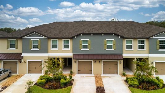 New construction Townhouse house 10989 Wishing Cloud Rd, Land O' Lakes, FL 34638 - image