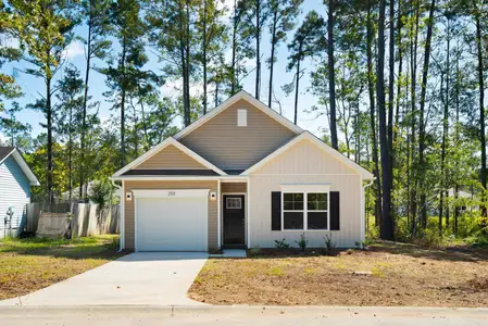 New construction Single-Family house 2931 Salamander Creek Ln, North Charleston, SC 29406 - image