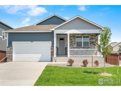 New construction Single-Family house 4702 Thistle Dr, Brighton, CO 80601 CHATHAM- photo 0 0