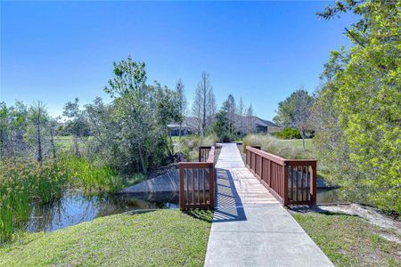 New construction Townhouse house 1291 Colt Creek Pl, Wesley Chapel, FL 33543 null- photo 18 18