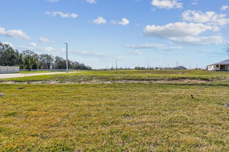 New construction Single-Family house 38466 Barrel Dr, Dade City, FL 33525 Mira Lago- photo 42 42