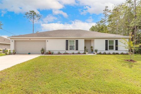 New construction Single-Family house 49 Llama Trl, Palm Coast, FL 32164 - image