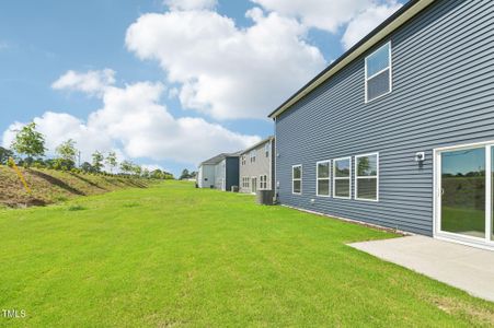 New construction Single-Family house 601 White Birch Ln, Angier, NC 27501 plan Johnson - image