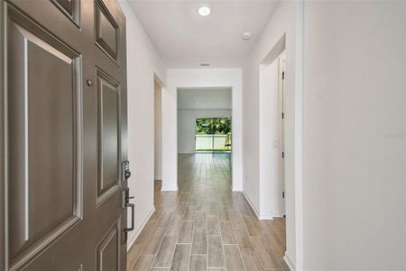 New construction Single-Family house 19649 Fort King Run, Brooksville, FL 34601 plan Elmwood - image 17