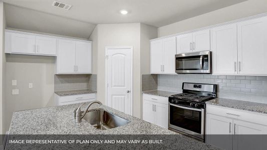 New construction Single-Family house 551 Globe Mallow Cir, Kyle, TX 78640 plan The Lakeway - image