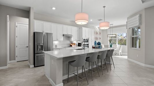 Harbor East: Estate Homes 11