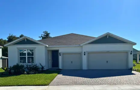 New construction Single-Family house 5237 Handsome Hills Dr, Mount Dora, FL 32757 plan Easley - image