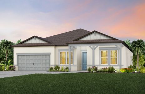 New construction Single-Family house 20876 Drake Elm Dr, Land O' Lakes, FL 34638 null- photo 0 0