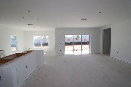 New construction Single-Family house 38350 Tobiano Loop, Dade City, FL 33525 Cabo- photo 62 62