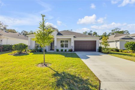 New construction Single-Family house 3034 Adrian Dr, Ormond Beach, FL 32174 - image