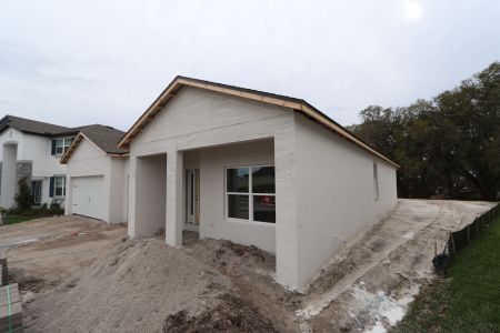 New construction Single-Family house 9589 Crescent Ray Dr, Wesley Chapel, FL 33545 Barcello- photo 65 65