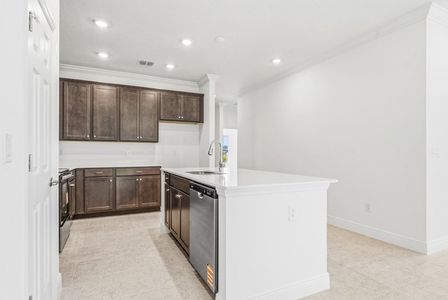 New construction Single-Family house 2363 Selenia St, Lake Alfred, FL 33850 plan Dania - image 11