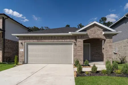 New construction Single-Family house 21999 Blue Sky Wy, Splendora, TX 77372 plan Pecan - image