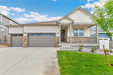 New construction Single-Family house 13457 Valentia St, Thornton, CO 80602 CHATHAM- photo 22 22